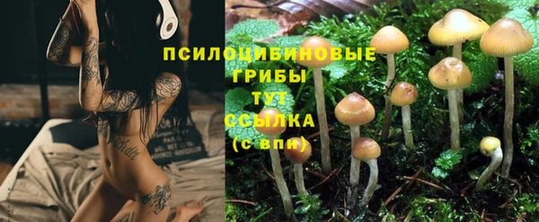 прущий лед Коряжма