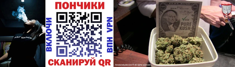 Бошки марихуана MAZAR  Купить где  Туринск 